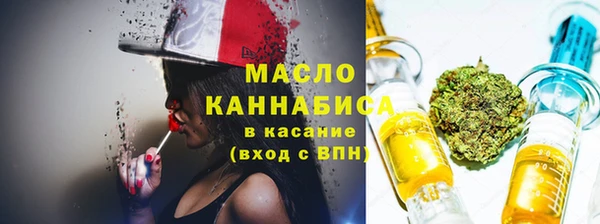 2c-b Горно-Алтайск