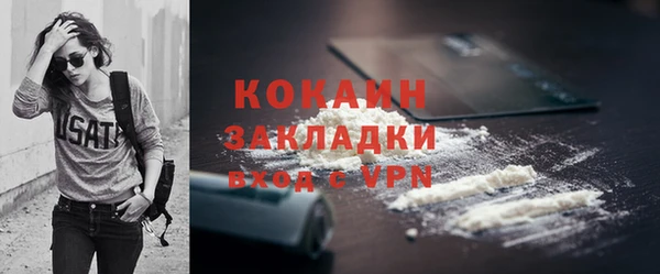 2c-b Горно-Алтайск