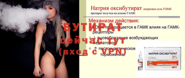 PSILOCYBIN Тайга