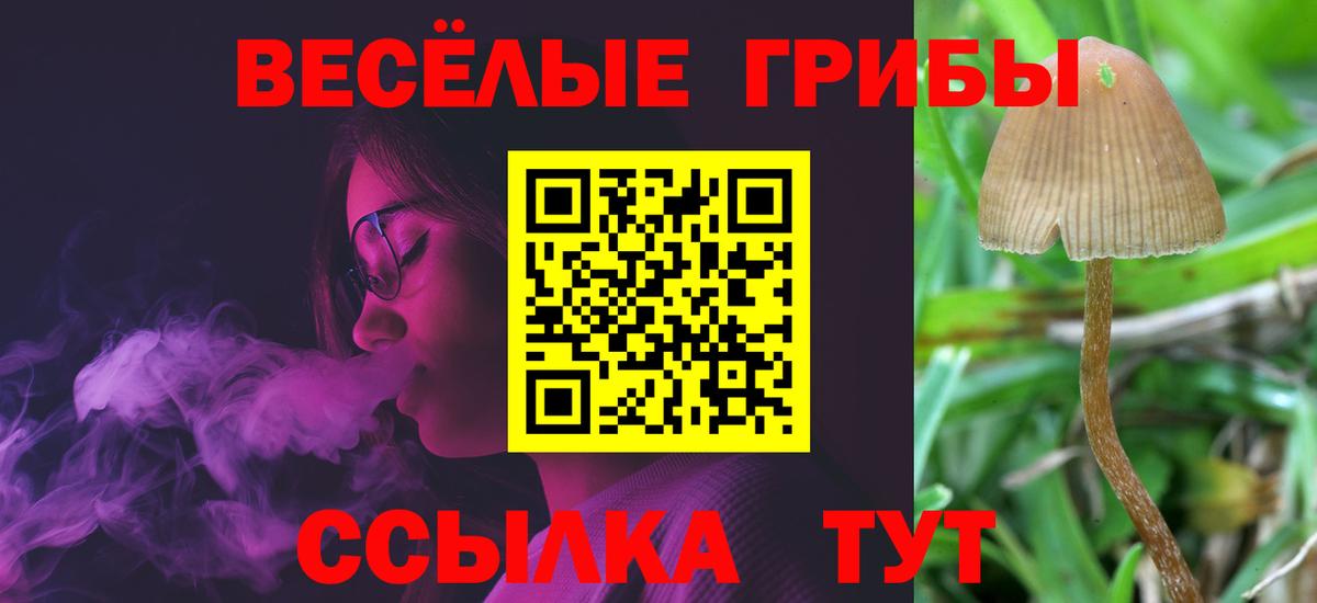Мценск  Псилоцибиновые грибы ЛСД  Вход с VPN  Галлюциногенные грибы MAGIC MUSHROOMS 